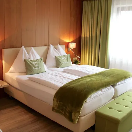 Hotel Montana 3*